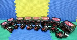 Carrete giratorio Penn Fierce III ¡ELIGE TU MODELO! - Imagen 1 de 20