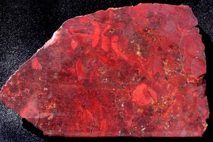 S702d ~ 4.4oz Thick Slab of Mary Ellen Jasper ~ Biwabik, Minnesota - Picture 1 of 12