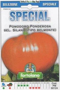 Tomato Ponderosa Sel. Silano Type Belmonte - Special - Picture 1 of 1