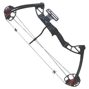 Arco Compound Carrucolato 25-55 Libbre da caccia professionale - Imagen 1 de 1