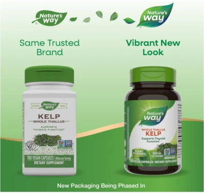 Nature's Way Kelp - Thyroid Support - Iodine - 100 Capsules 1/2029 - Image 1 of 4