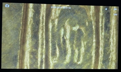 1969D Lincoln Memorial Cent DDR-002 Still In Cellophane Mint Set - Image 1 of 4