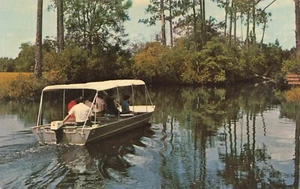 Vintage Okefenokee National Wildlife Refugee Georgia Unposted Postcard - Picture 1 of 2