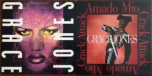 Grace Jones Amado Mio - Love On Top Of Love SELTEN 1989 US 2x 12" EINZELNE VINYL Lot - Bild 1 von 11