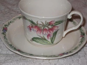 Noritake Conservatory Teacup Cup & Saucer Set (s) - Picture 1 of 1