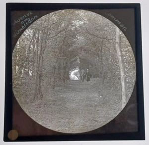Antike 1890er magische Glas Laterne Dia - Avenue on Wimbledon Common - Bild 1 von 1
