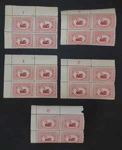 AUSTRALIA. GV. 1929. Centenary of WA 1½d Swan plate blocks of 4 MUH / fine mint. - Picture 1 of 2