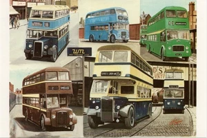 (cc15) West Midlands PTE Amalgamation - Bus Postcard - Picture 1 of 2