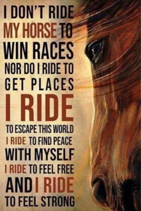Inspirational horse refrigerator magnet 3 1/2 X 4 1/2 " - Picture 1 of 1