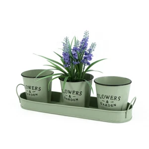 4er Set Pflanzset Grün Zink Blumentopf Pflanzgefäß Kräutertopf Kräutergarten   - Bild 1 von 3