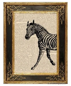 Zebra #1 Art Print on Vintage Book Page Africa Home Nursery Office Decor Gifts - Picture 1 of 3