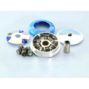 241.311 Polini Variator Piaggio Ciao-Si-Boss-Boxer-Bravo-Grillo 50 - Picture 1 of 1