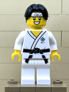 Lego Martial Arts Boy Series 20 Collectible Minifigure 71027 col367 CMF Ninja - Picture 1 of 4