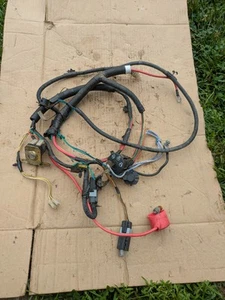 Troy-Bilt 42" Pony 13AN77KG011 MTD tractor de equitación arnés de cableado completo - Imagen 1 de 9