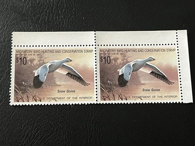 GRAN PAR DE ESTAMPILLAS FEDERALES DE PATO 1988-1989 COMO NUEVAS Foto 1 de 4