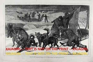 Perro Husky o Malamut Expedición Británica al Ártico Enorme 1875 Impresión Antigua y Artículo - Imagen 1 de 6