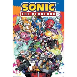 PÓSTER PERSONAJES SEGA SONIC EL ERIZO NUEVO 24X36 ENVÍO GRATUITO - Imagen 1 de 1