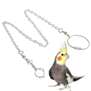 Tobillera de pie de pájaro Cadena de pie de pájaro Grilletes de pierna Loro Plomo Correa de loro - Imagen 1 de 12