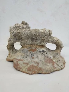 Amphorenhals Antik - Bild 1 von 8