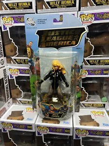 Figura de acción DC Direct Justice League JLA Series 1 Black Canary 6" - Imagen 1 de 3