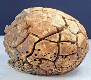 2494G Septarium Dragon Stone Septarian like Brain Crystal Rough Mineral Specimen - Bild 1 von 24