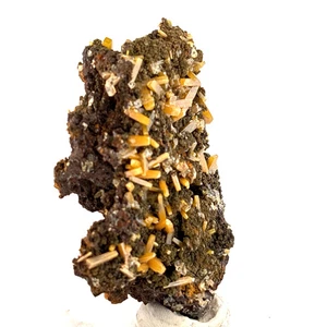 Wulfenite on Mimetite, Mined 2008 Durango Mexico 7x4x2cm - Picture 1 of 4