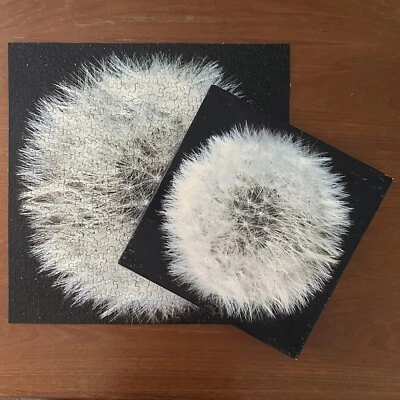 Vintage Springbok DREAM SPINNER Jigsaw Puzzle 500 Pc Dandelion Hallmark COMPLETE - Image 1 of 4