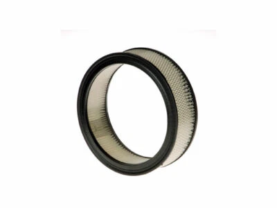 For 1987-1989 Pontiac Safari Air Filter 51679PB 1988 5.0L V8 Standard Air Filter - Image 1 of 2