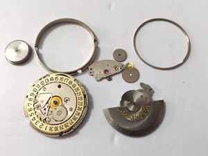 PARA PIEZAS INCOMPLETAS ZODIAC MVT CAL 86 PARA RELOJES ASTROGRÁFICOS SST - EQUILIBRIO BIEN - Imagen 1 de 5