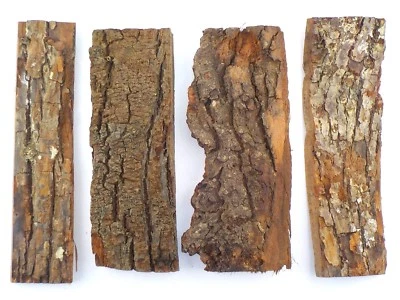 4 Tree bark pieces for floristry, model making diorama. texture rock effect 1931 - Image 1 of 4
