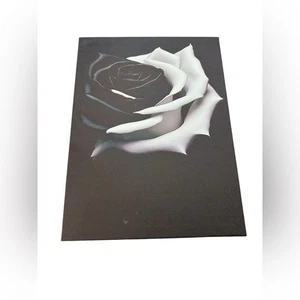 Stampa artistica su tela con cornice 16x12 pollici NUOVA - Foto 1 di 1