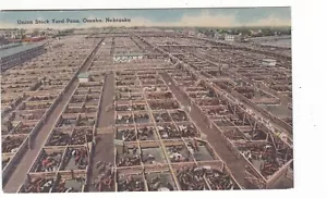 Union Stock Yard Pens / Omaha, Nebraska / cartolina d'epoca in lino / bestiame - Foto 1 di 2