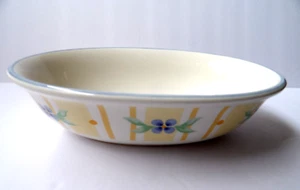 Pfaltzgraff kleine Servierschale Summer Breeze ovale Schale 8,25 x 5,75 eingestellt - Bild 1 von 3
