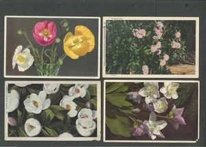 FL-43 4 Vintage Floral Post Cards - Picture 1 of 1