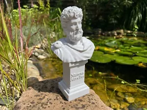 Marcus Aurelius Bust - Bild 1 von 10