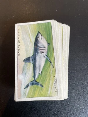 JOHN PLAYER – FULL SET – SEA FISHES (1935) - VG - Image 1 of 4