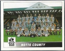 PANINI FOOTBALL LEAGUE 95 -#154-NOTTS COUNTY TEAM PHOTO