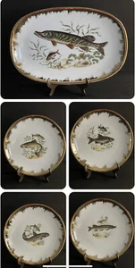 Vtg Hutschenreuther Fish, 6 Dinner Plates 10” & Serving Platter 15”x10” SET 7 - Picture 1 of 12