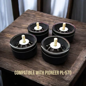PIES PARA SUSPENSIÓN NEUMÁTICA PIONEER PL-570 - Imagen 1 de 9