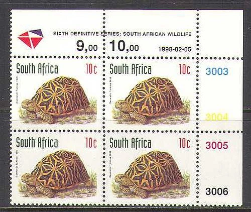 RSA 1998 Tortoise/Animals/Nature/Wildlife rdrw 1v c/b (za10051) - Image 1 of 1