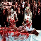 CANNIBAL CORPSE Butchered at Birth BANNER HUGE 4X4 Ft Fabric Poster Flag art
