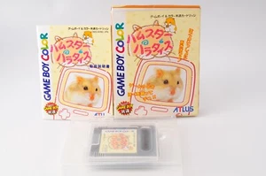 "Boxed" Hamster Paradise Nintendo Game Boy Color GBC Japan JP #1036 - Picture 1 of 7