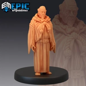 8K Resin 32mm Epic Miniatures Priest NPC für D&D, Rollenspiel - Bild 1 von 1