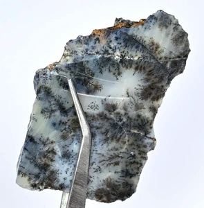 Opale dendrite africana naturale non trattato 183,75 ct esemplare pietra preziosa sfaccettata lastra - Foto 1 di 5