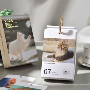 Cartoon Cat 2024 Calendar Date Vertical Calendar Durable Desktop Calendar  Home