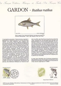 Document Philatélique 1er Jour : 32- 1990 - Gardon Rutilus rutilus - Picture 1 of 1