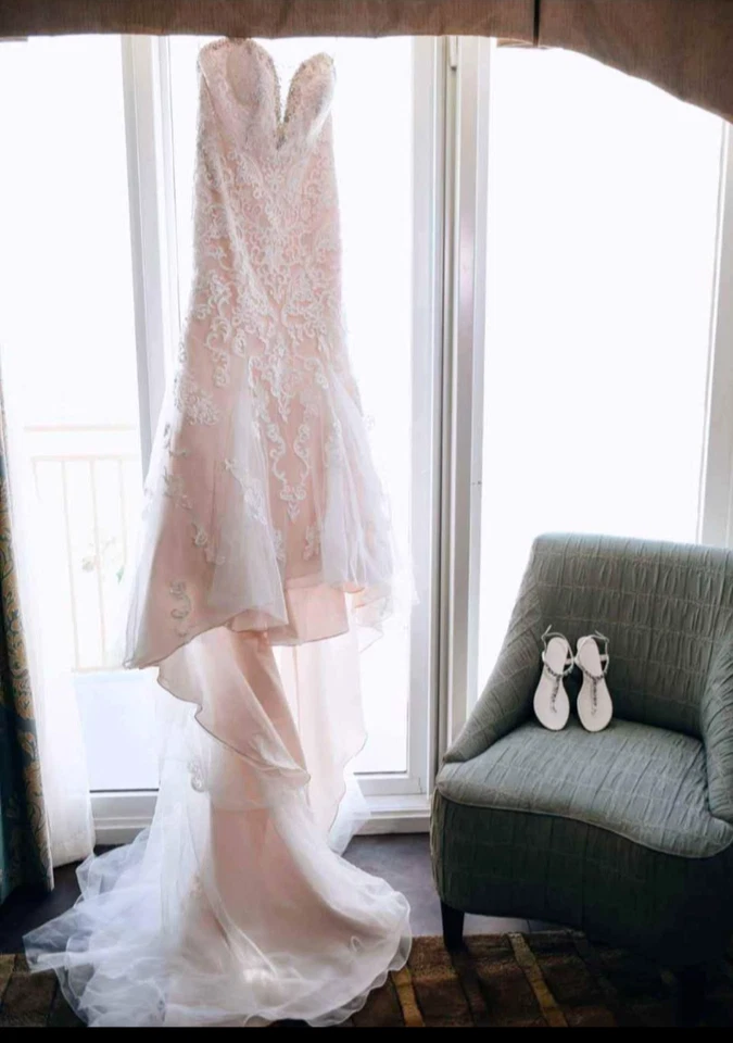  Stella York 蕾丝合身喇叭婚纱 – 优雅美人鱼剪影 — 第 1/3 张图片