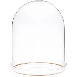 Plymor 4.5" x 6" Glass Display Dome Cloche with Gold Rim (Clear Glass Tray Base) - Picture 1 of 1