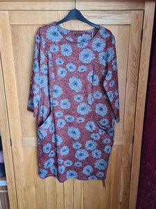 WOMENS SHIFT DRESS FROM ROMAN SIZE 16 BNWT - Picture 1 of 14