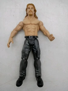 Figura de lucha libre en vivo Jakks WWF WWE Titan Tron serie 5 prueba - Imagen 1 de 2